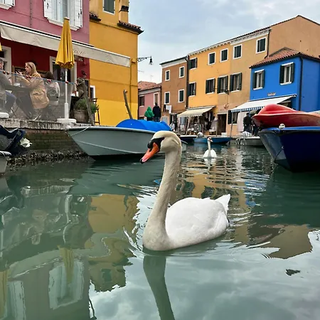 Casa Tipica شقة بورانو