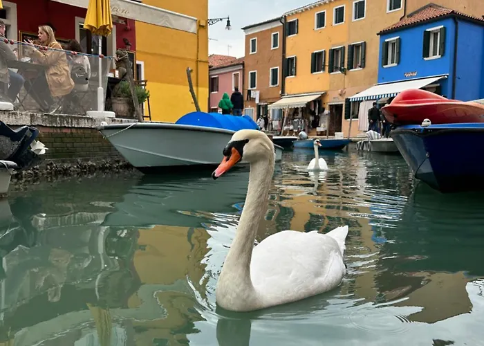 Casa Tipica Lägenhet Burano